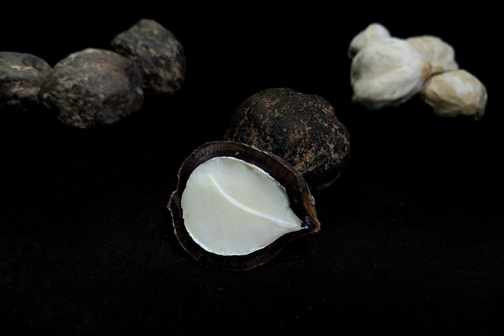 kukui nut | kukui nut oil | anokha